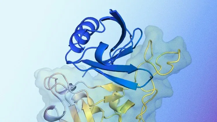 Computational Techniques for Protein 3D Structure Prediction